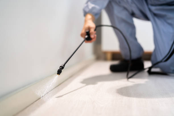 Licensed Termite Control service in Linden, AZ - Nex Pest Control