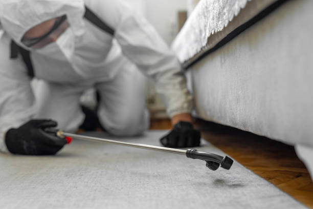 Professional Termite Control technician working in Linden, AZ
