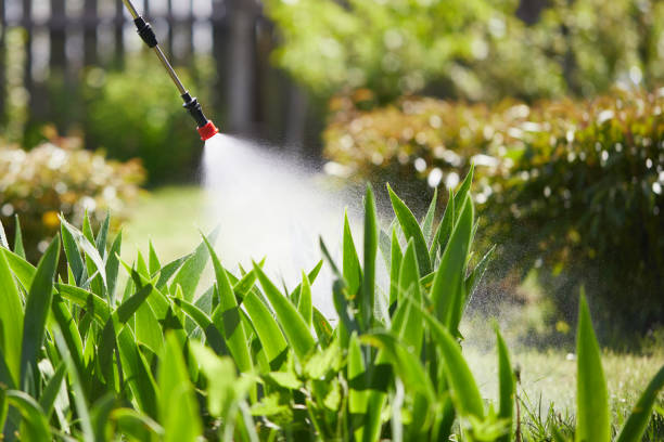 24/7 Emergency Termite Control experts in Linden, AZ