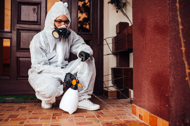 Reliable Termite Control contractor in Linden, AZ by Nex Pest Control