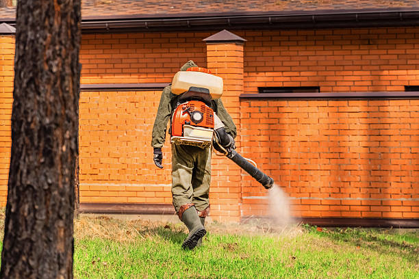 Top rated local Termite Control specialists in Linden, AZ
